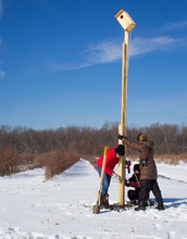 Three researchers install a nest box in a field.